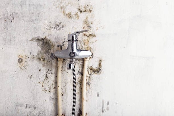 Best Mold Testing  in Garden City, ID