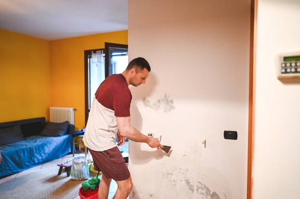 Best Attic Mold Removal  in Garden City, ID